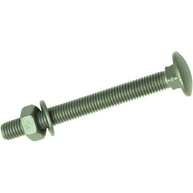 TIMBER-TITE® M10 x 100 Coach Bolts - Net-Coat (10)